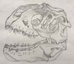 Abby Moon Skull