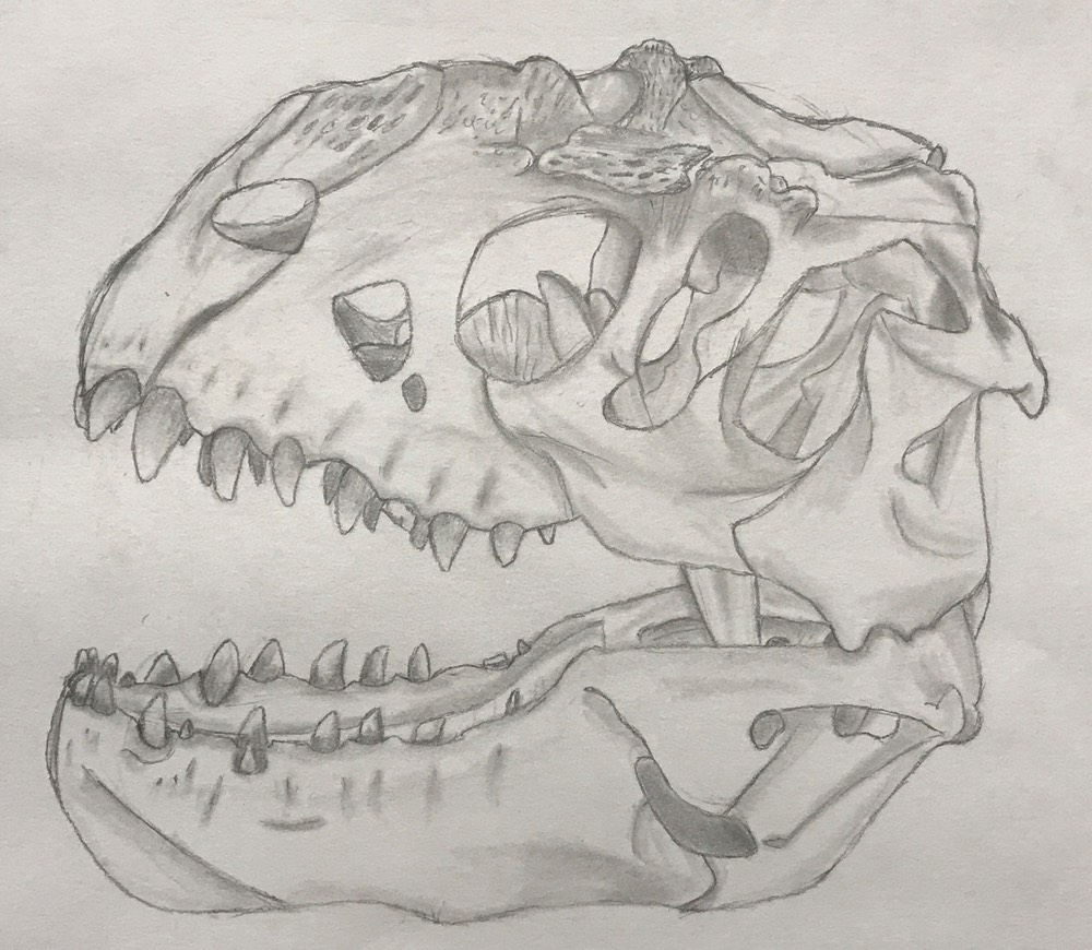 Abby Moon Skull