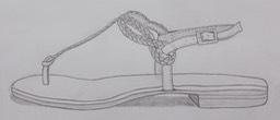 alliolsenshoe