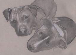 dogs 1