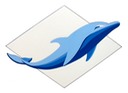 dolphin04