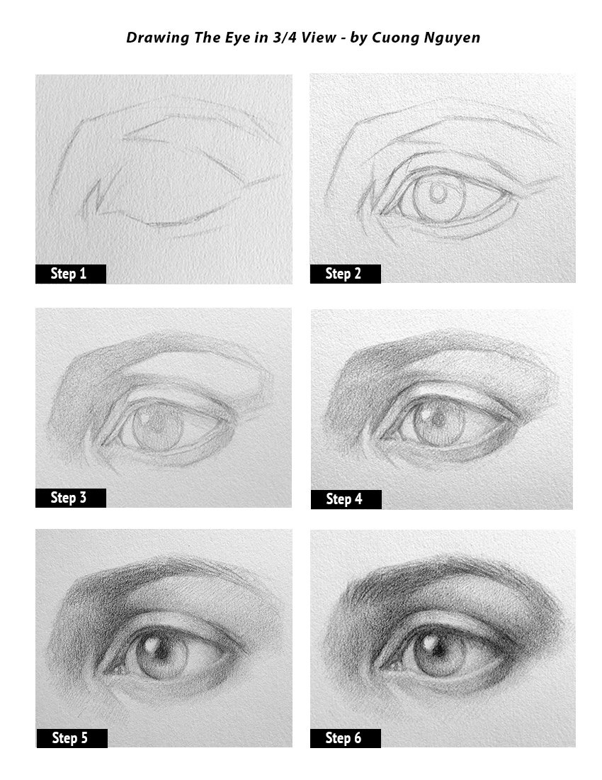 Eye -- 3/4 View