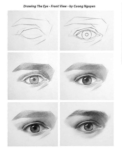 Eye Front View