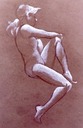 femalefigure