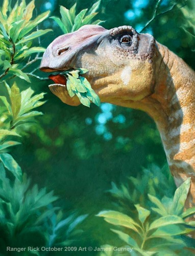 Gryposaurus.vsm