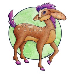 jennaleecalvindeer