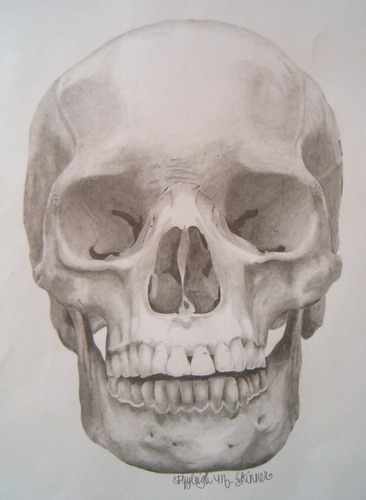 kayleighskinnerskull
