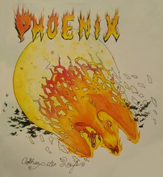 krebsphoenix copy