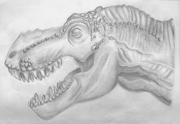 Liam Bailey T-Rex