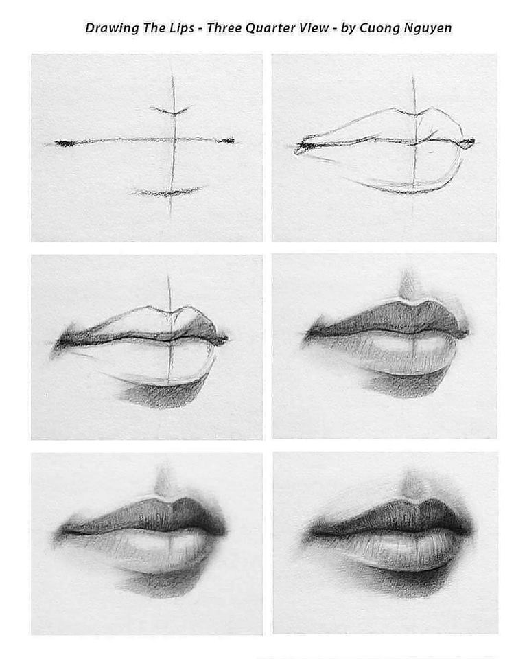 Lips Three Quarter View