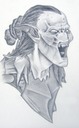 lotrorcsuzuki