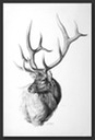 p elk