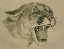 phifercougar