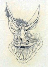 roundymonster28