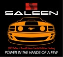 saleenart