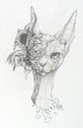 sierraestescat