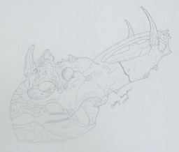 skullhunzeker2