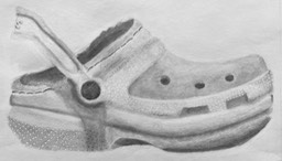 Taylor Higgins Shoe