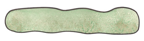 wcsalt copy