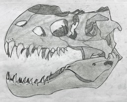 Will Gomez T-Rex Skull